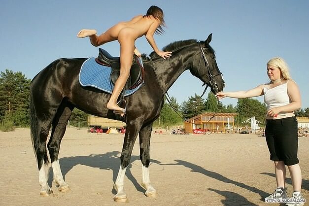 Ride on horseback - Looking at the sun and my own naked body