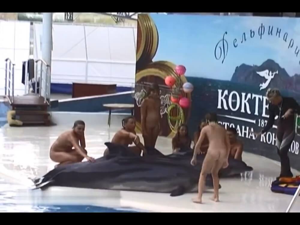Relaxing at the dolphinarium - Freedom is part of naturism
